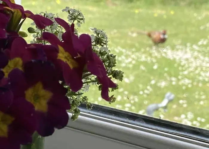 A Cozy Older Summerhouse On A Small Island * Oro